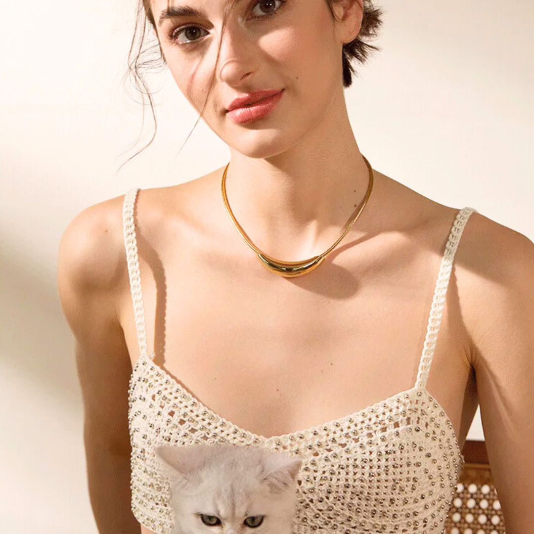 Curved Choker Necklace